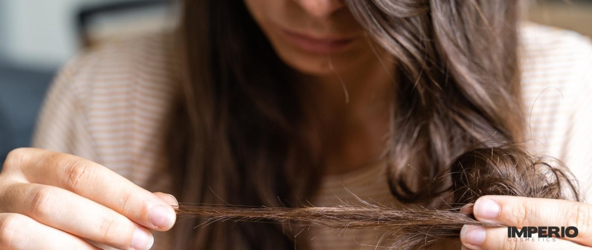 Haare brechen ab? Was Dein Haar Dir damit sagt - IMPERIO COSMETICS