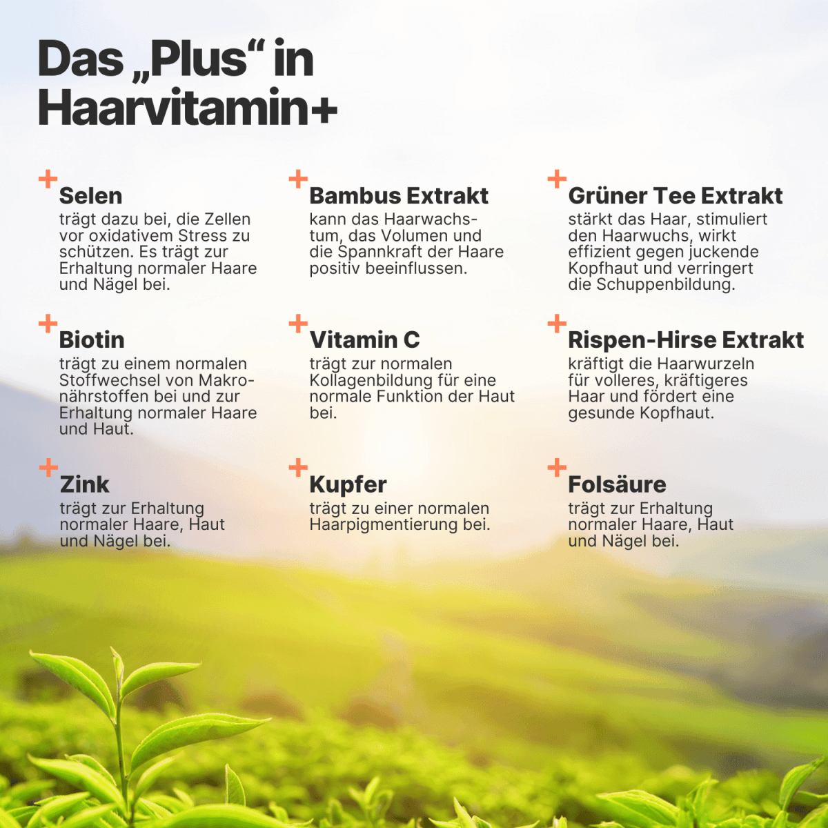 haar vitamine inhaltsstoffe