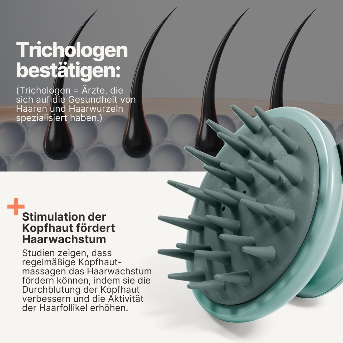 Kopfhaut Verwöhn - Set (Haaröl Rosmarin+, Haaröl Applikator, Shampoo Massagebürste) - IMPERIO COSMETICS