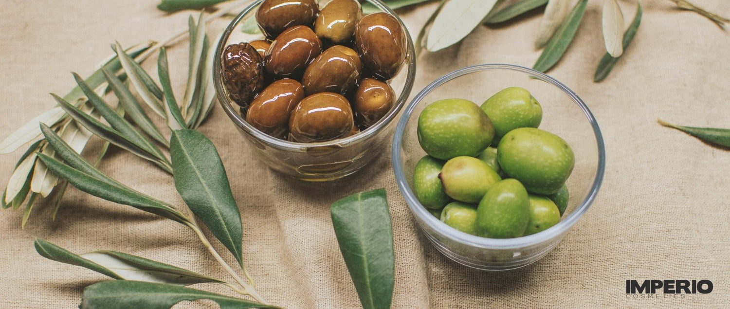 olive-leave-olivenzweig-olivenbaum-olive-frucht-olivenoel-in-die-haare