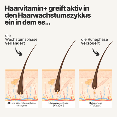 haar vitamine haarwachstumszyklus